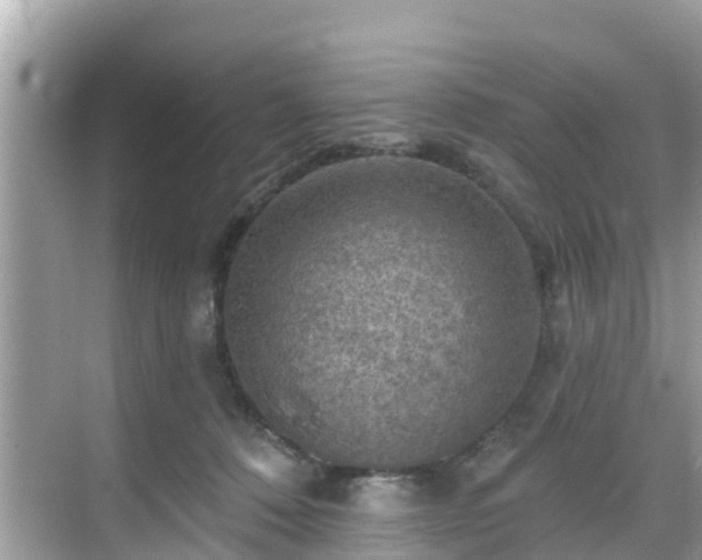 X0000068820320200605081152