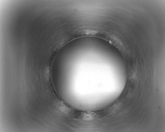 X0000068820321200605081152