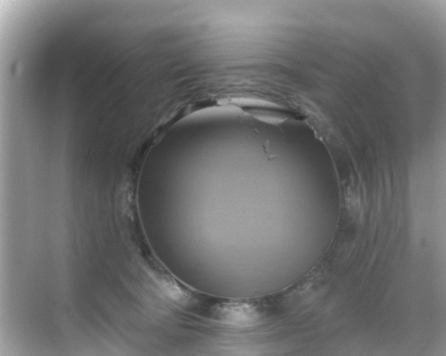 X0000068820322200605081152