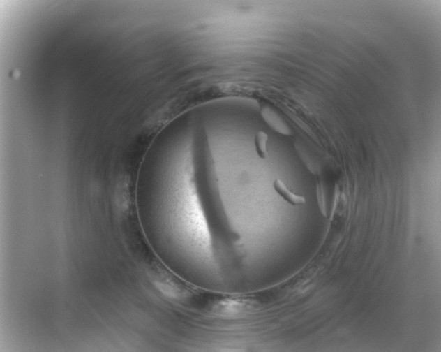 X0000068820323200605081152