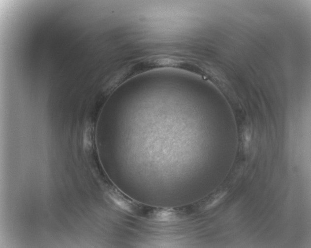 X0000068820325200605081152