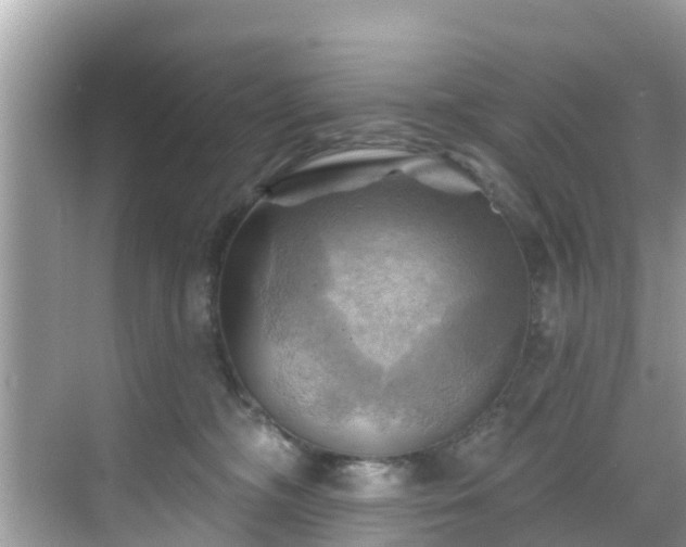 X0000068820326200605081152