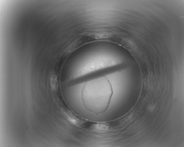 X0000068820327200605081152