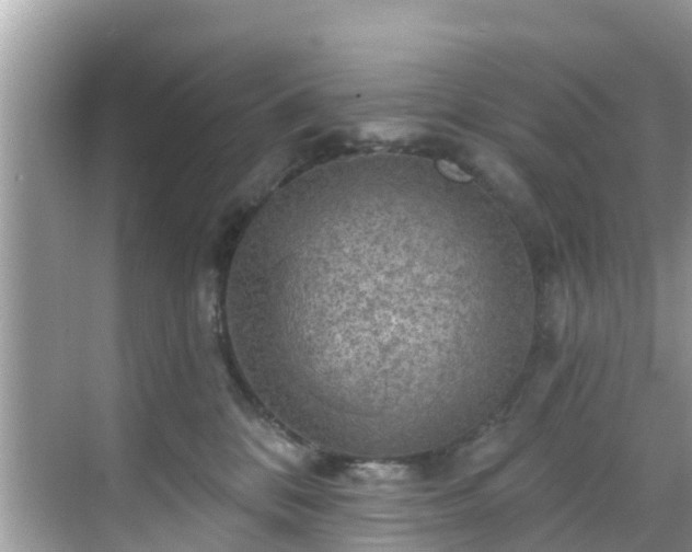 X0000068820328200605081152