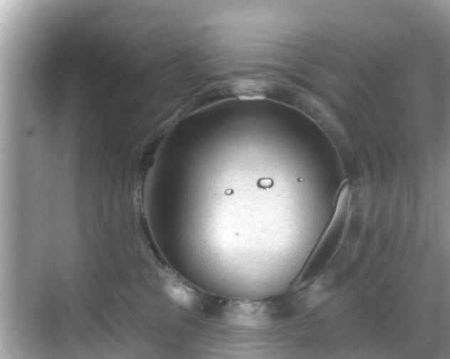 X0000068820329200605081152