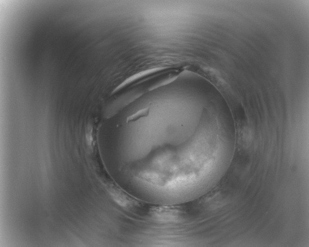 X0000068820331200605081152