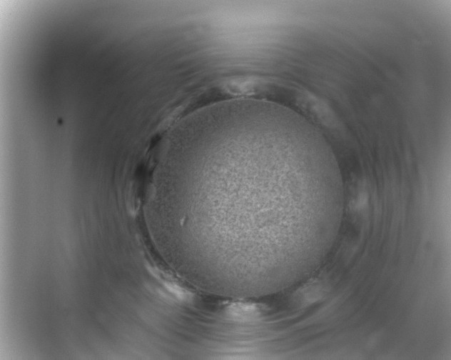 X0000068820332200605081152