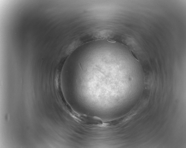 X0000068820334200605081152