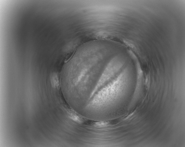 X0000068820335200605081152