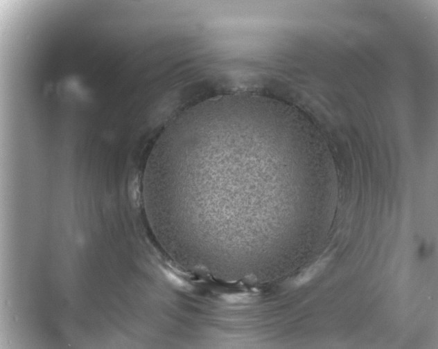 X0000068820336200605081152