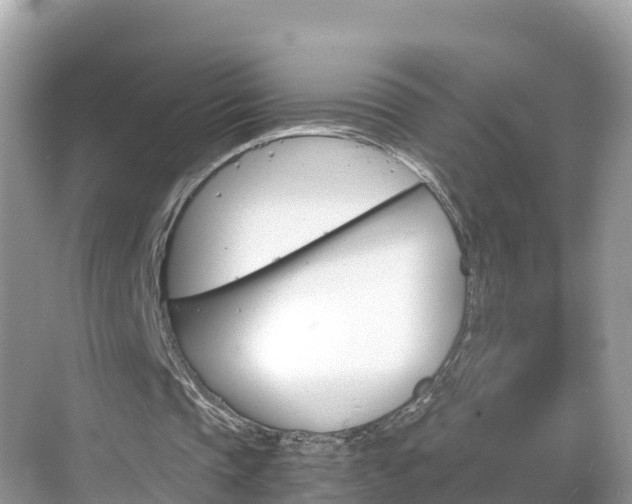 X0000068820337200605081151