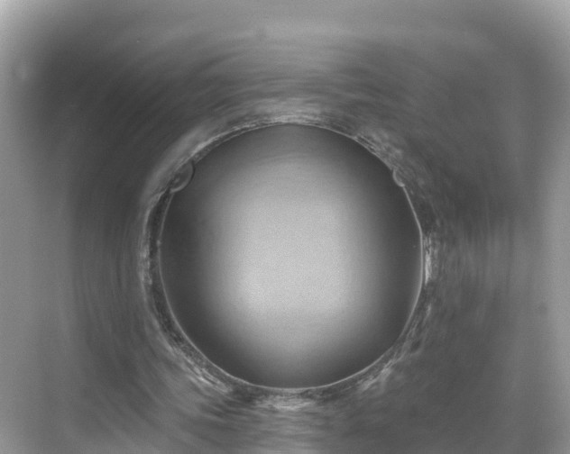 X0000068820339200605081151