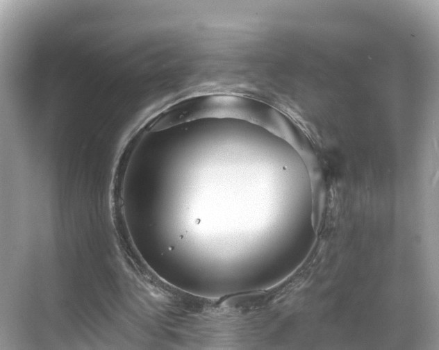 X0000068820340200605081151