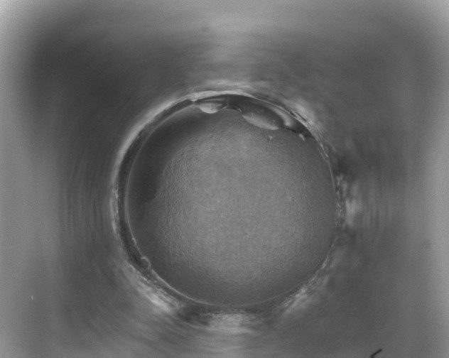 X0000068820342200605081151