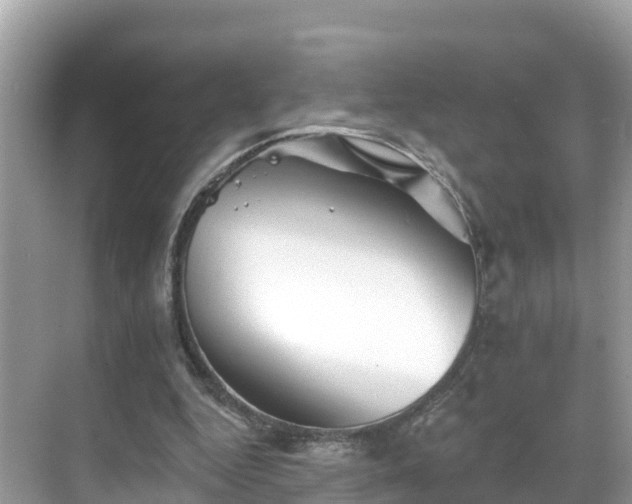 X0000068820344200605081151