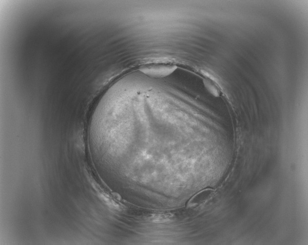 X0000068820345200605081151