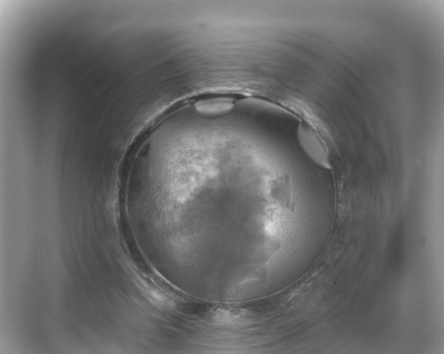 X0000068820346200605081151