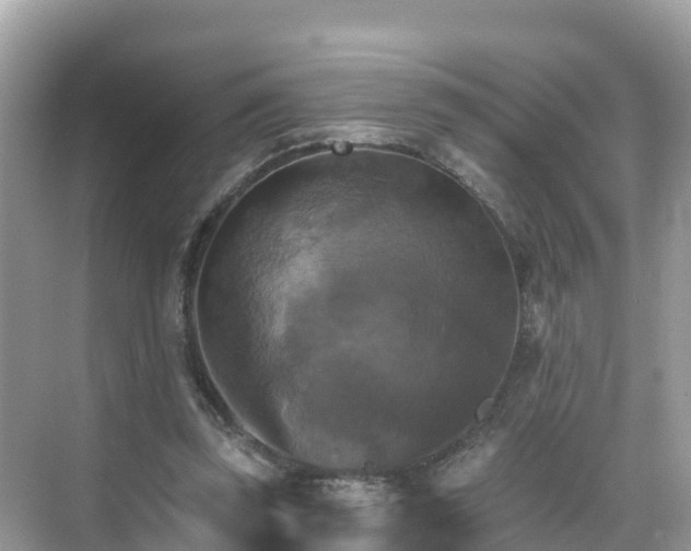 X0000068820347200605081151