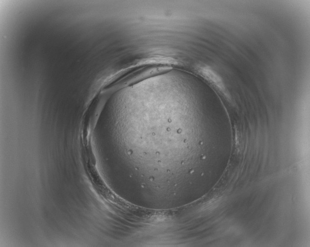 X0000068820348200605081151