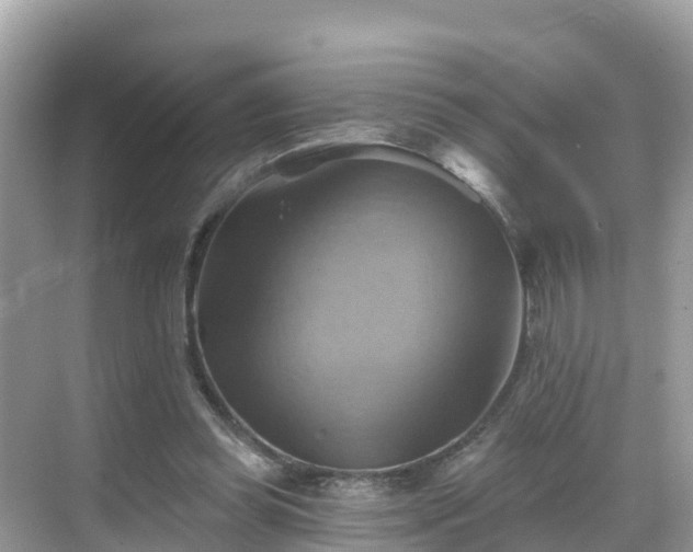 X0000068820349200605081151