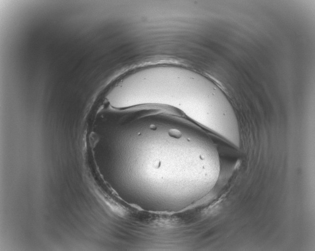 X0000068820350200605081151