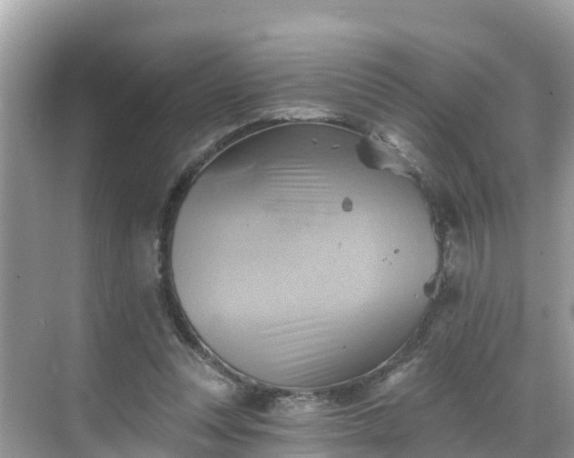 X0000068820351200605081151