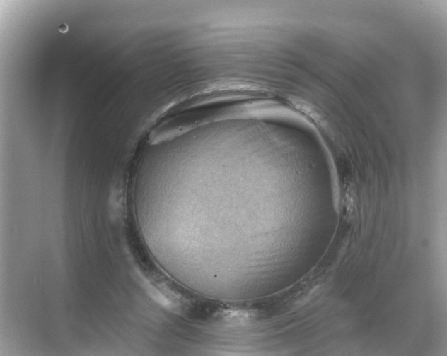 X0000068820352200605081151