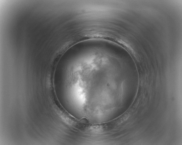 X0000068820353200605081151