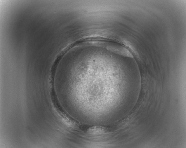 X0000068820354200605081151