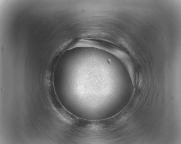 X0000068820356200605081151