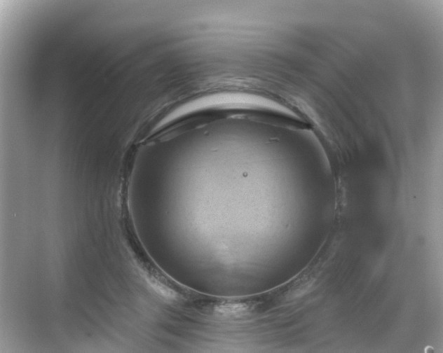 X0000068820357200605081151