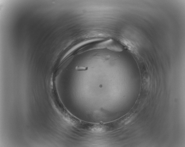 X0000068820358200605081151