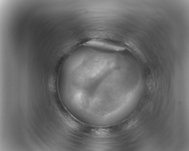 X0000068820359200605081151