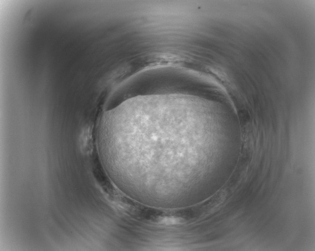 X0000068820360200605081151