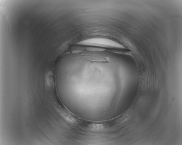 X0000068820361200605081151