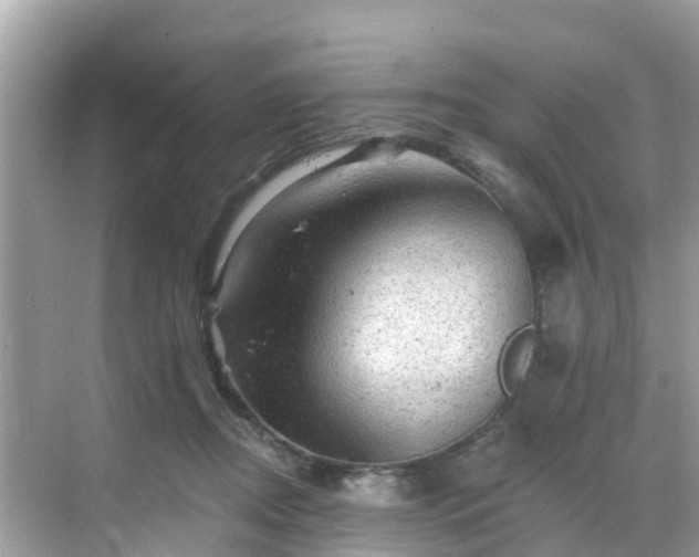 X0000068820362200605081151