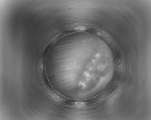 X0000068820363200605081151