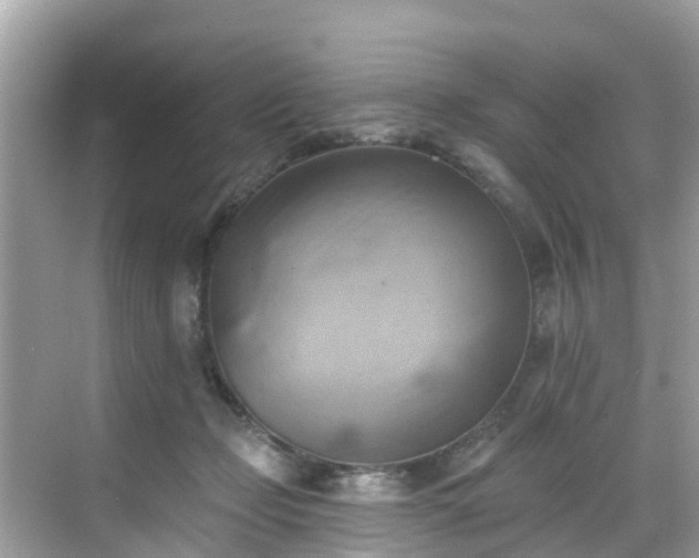 X0000068820365200605081151