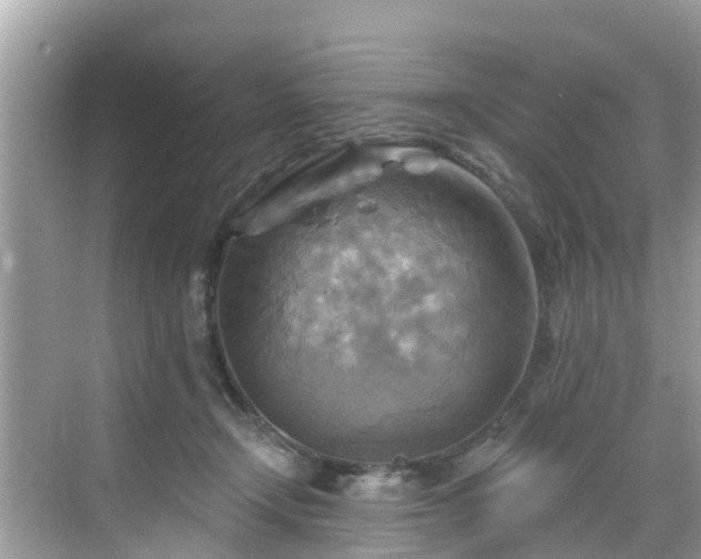 X0000068820366200605081151