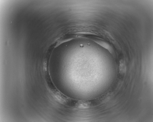 X0000068820368200605081151