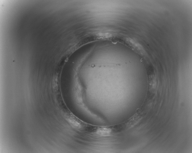 X0000068820369200605081151