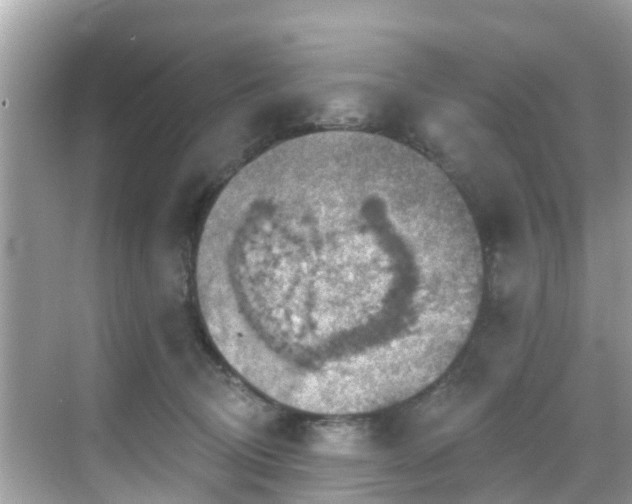 X0000068820370200605081151