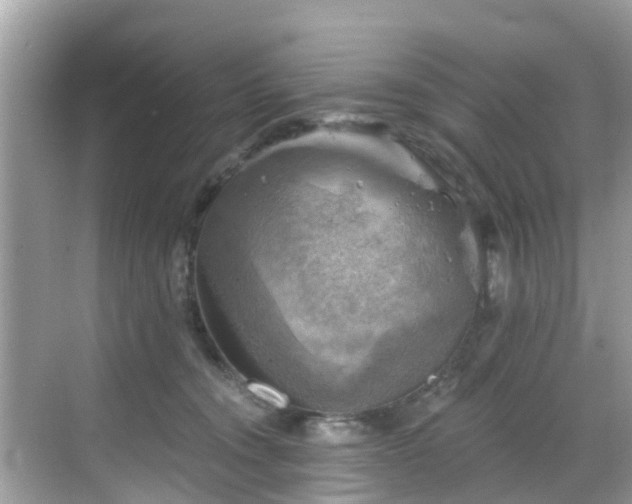 X0000068820372200605081151