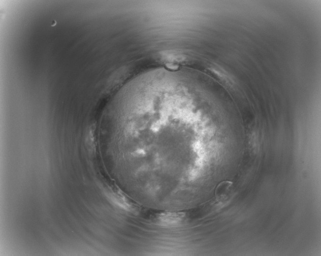 X0000068820373200605081151