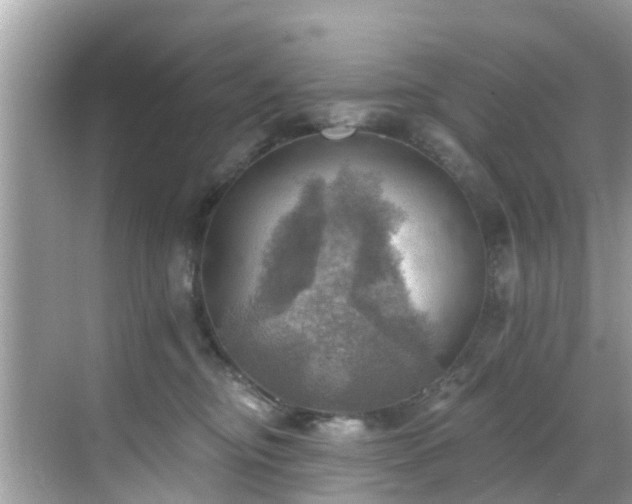 X0000068820374200605081151