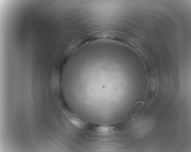 X0000068820375200605081151