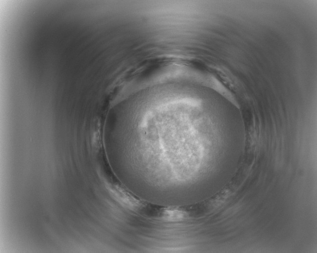 X0000068820376200605081151