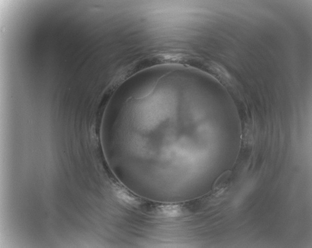 X0000068820377200605081152