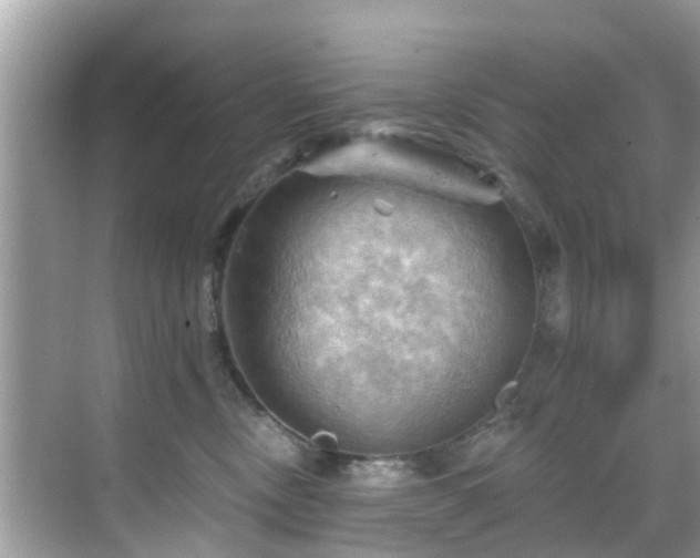 X0000068820378200605081152