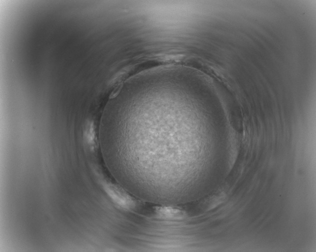 X0000068820380200605081152